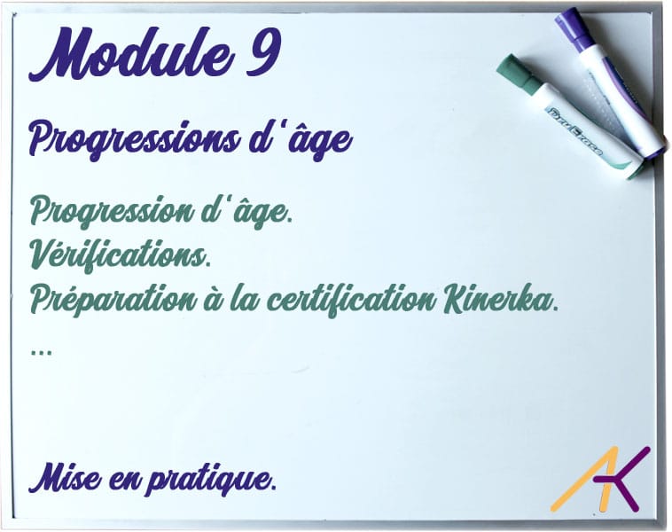 Formation kinésiologie Module 9