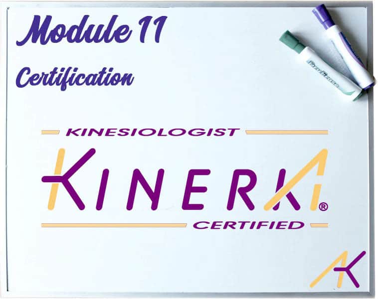 OPT Formation Module 11 kinesiologie kinerka